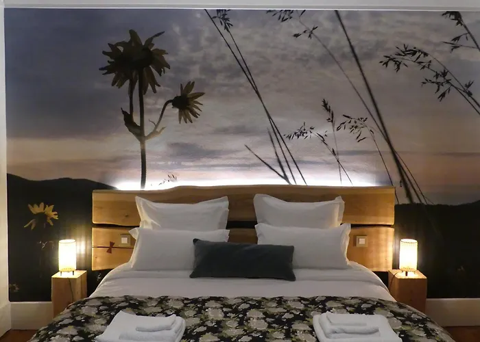 Bed & Breakfast Arnica *